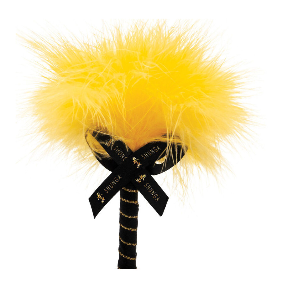 KIT DE POUDRE DE MASSAGE COMESTIBLE MANGUE