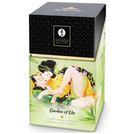 SHUNGA - KIT EDO COLLECTION BIO