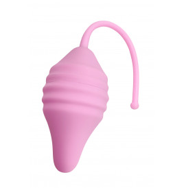 Pelvix Concept - Femintimate