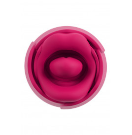 Vibro Oral Fun Licking Tongue - You2Toys